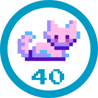 Teen Badge 40 Hours Badge