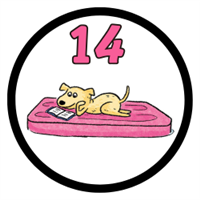 Kids Badge 14 Badge