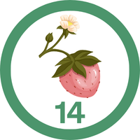 badge