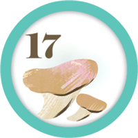 badge